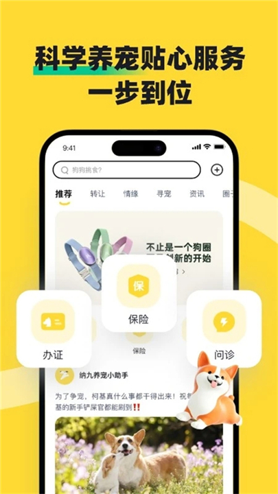 68宠物6.2.0.61