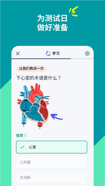 quizlet中文版7087