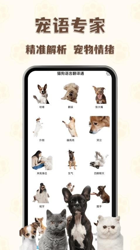 猫狗语言翻译通用版2