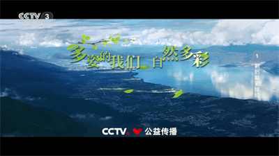爱尚电视新版本8745
