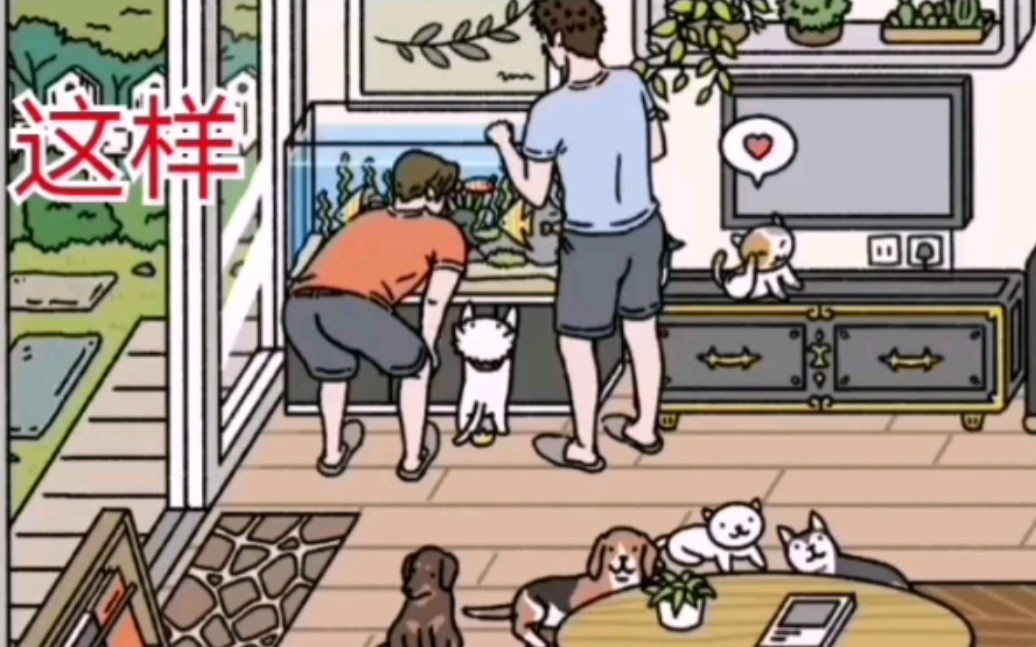 萌宅物语国际服