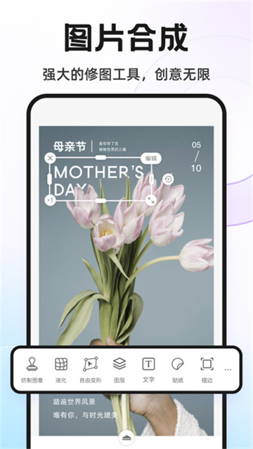 Knockout智能抠图20252