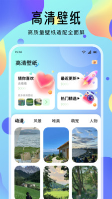 海豚壁纸9089