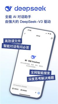 deepseek网络版