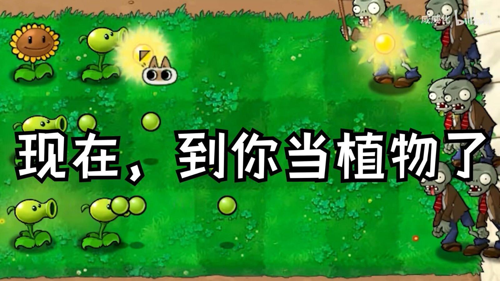 植物大战僵尸繁琐版自制版3