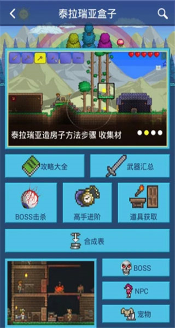 泰拉瑞亚盒子正版0