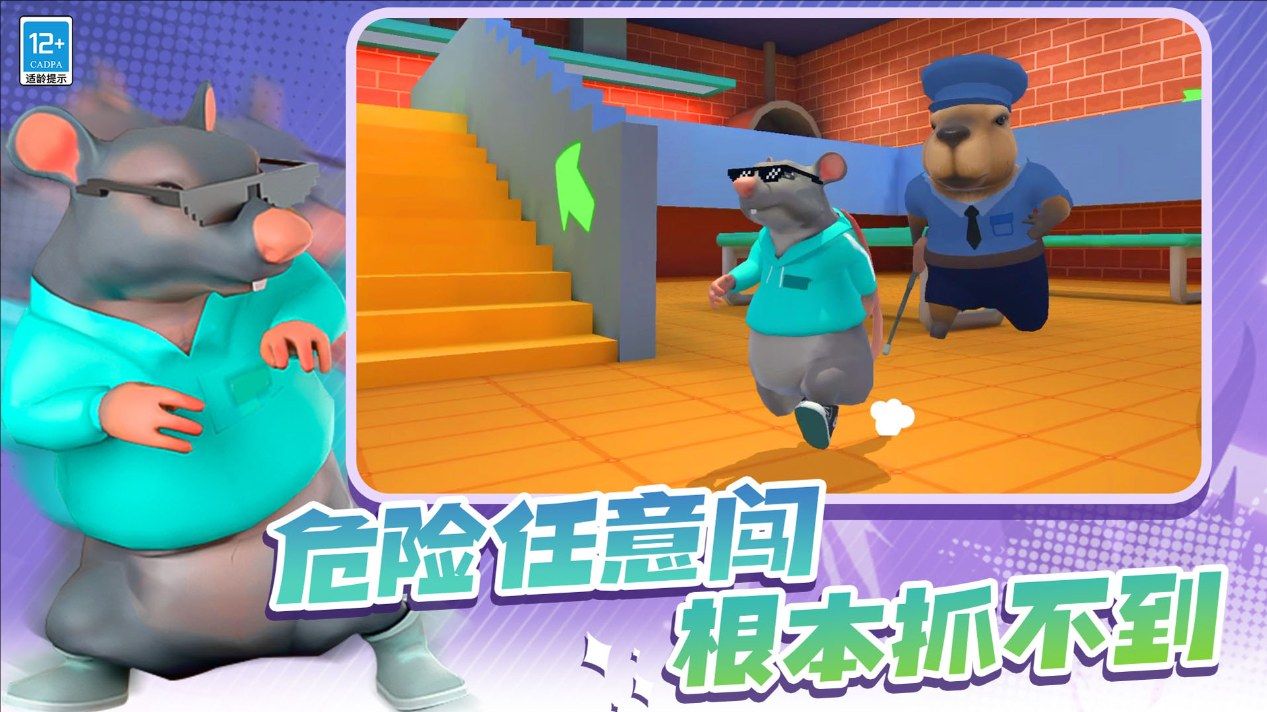 动物比赛3D17629