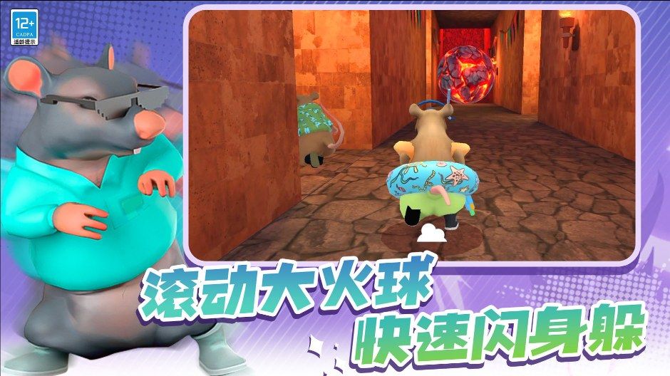 动物比赛3D17629