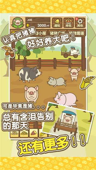 养猪场mix安卓版17686