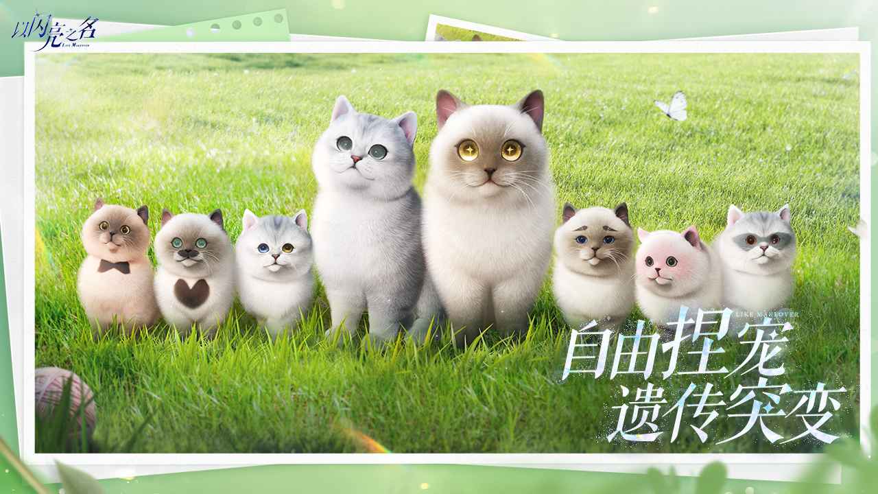 以闪亮之名2025版17703