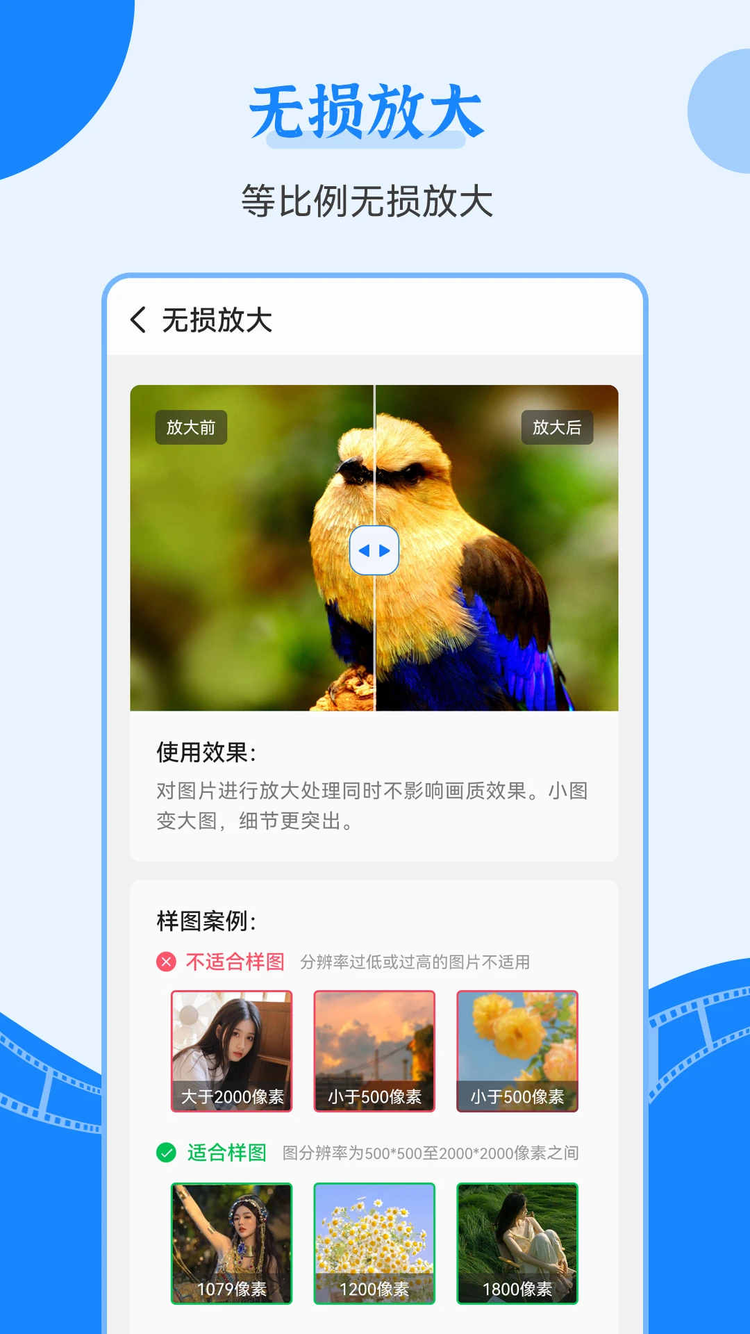 老照片修復(fù)王官方正版3