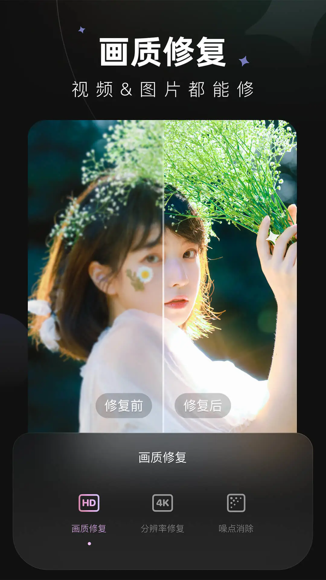 Wink2025高级版2