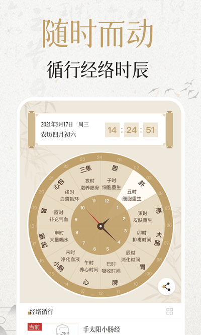 中济经络穴位20259616