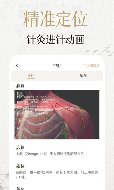 中济经络穴位20259616
