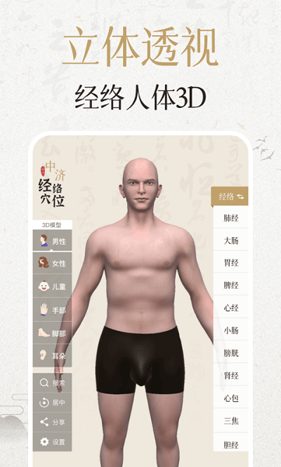 中济经络穴位2025