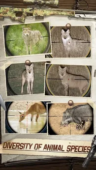 动物狩猎狙击手安卓版18234