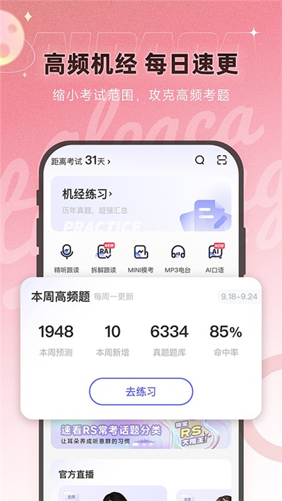 羊駝pte20251