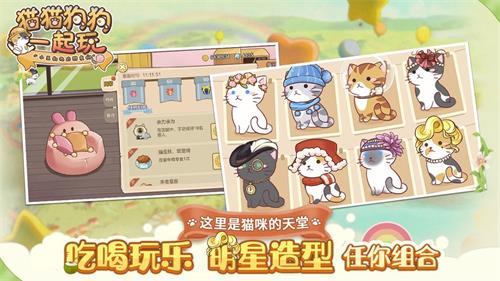 貓貓狗狗一起玩正版0