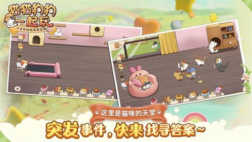 貓貓狗狗一起玩正版4