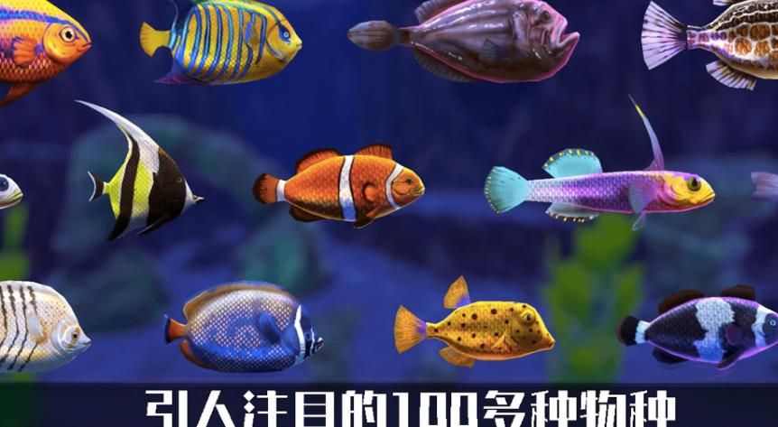 輕松水館0