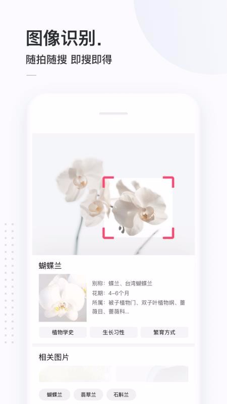 簡單搜索舊版2