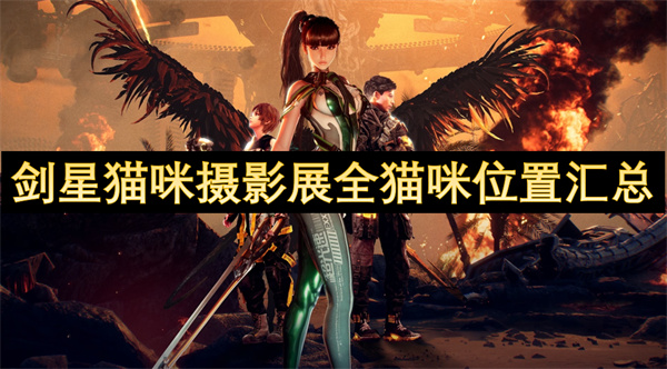 劍星貓咪攝影展全貓咪位置匯總