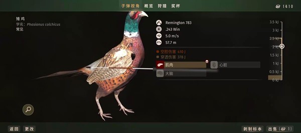 獵人之路兼容版