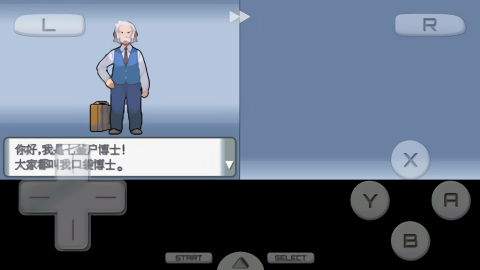 口袋妖怪钻石19033