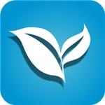 葉子TV盒子版