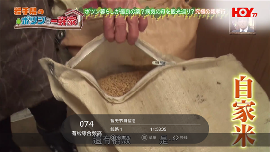 葉子TV盒子版1
