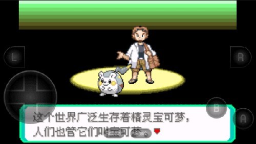 口袋妖怪火紅全隨機版新手攻略3