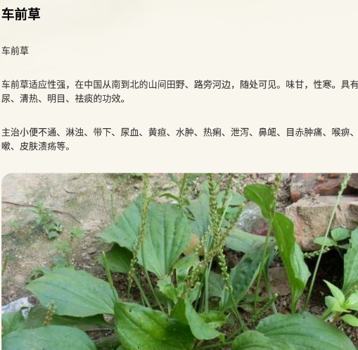 中医经络穴位典籍