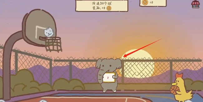 動物籃球