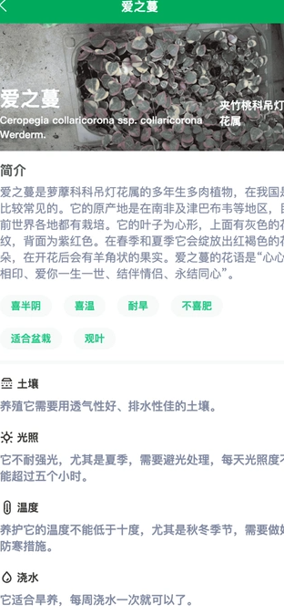暖植小窩0