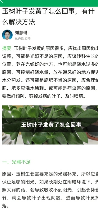 暖植小窩1