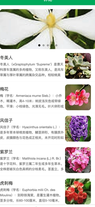 暖植小窩2