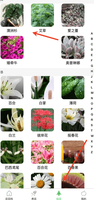 暖植小窩
