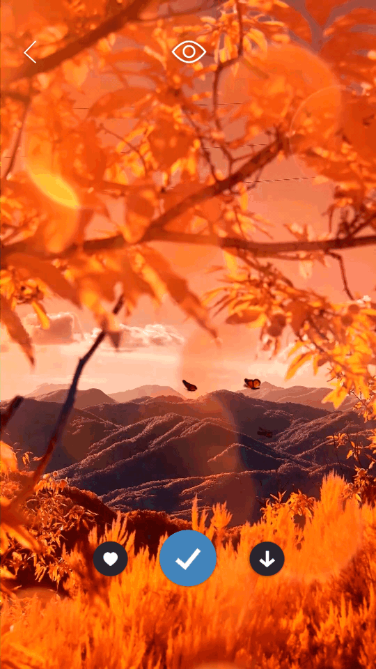 皮卡超级壁纸手机版10444