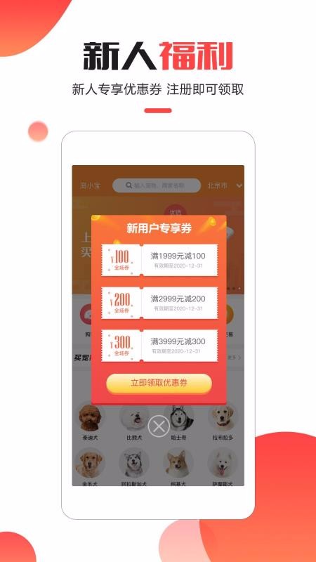 寵小寶20251