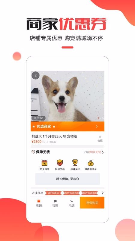 寵小寶20252