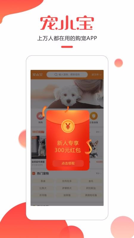 寵小寶2025