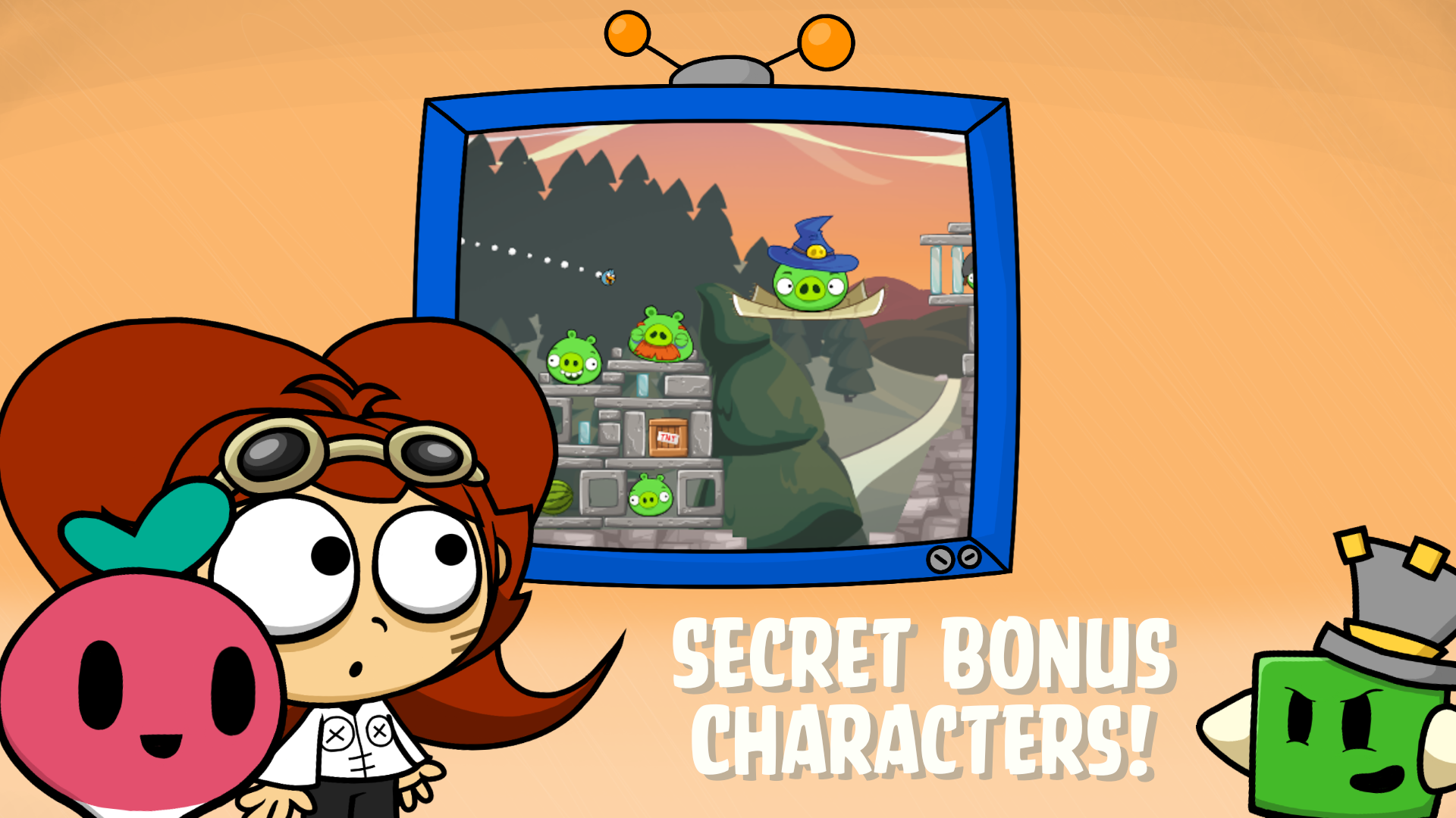 愤怒的小鸟R计划19779