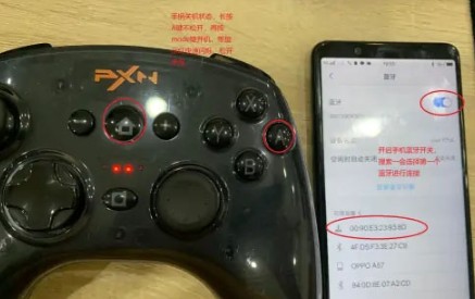 小雞模擬器官方版