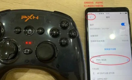 小雞模擬器官方版