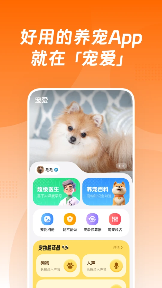 宠爱安卓版10620