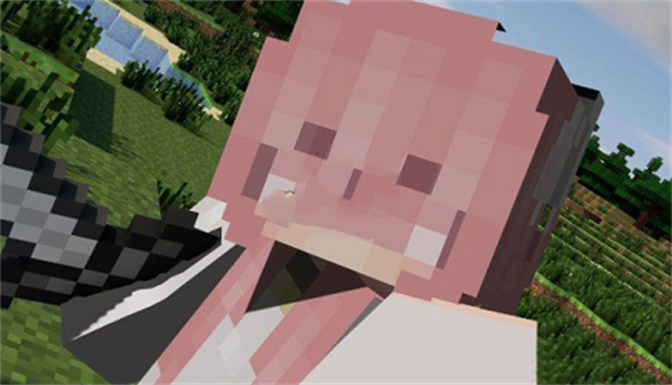 我的世界猫娘模组互动完整版2