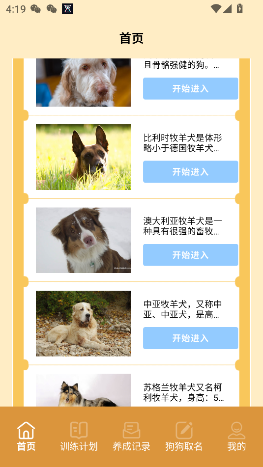 我的狗狗安卓版