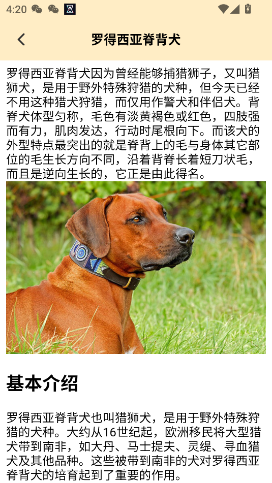 我的狗狗安卓版