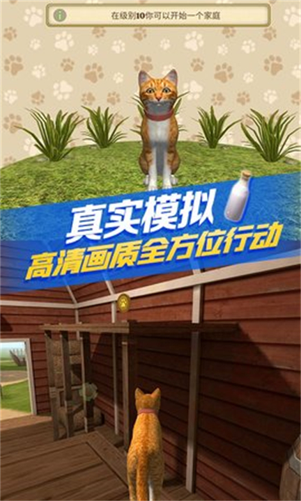 貓咪生存模擬器手機(jī)版1
