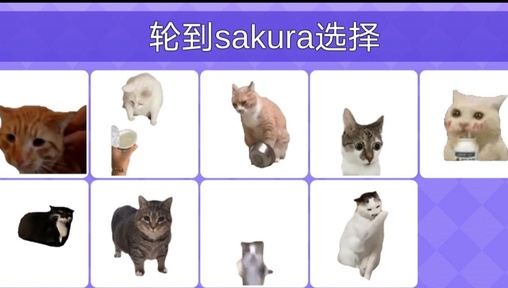 女巫的毒药猫meme版20025